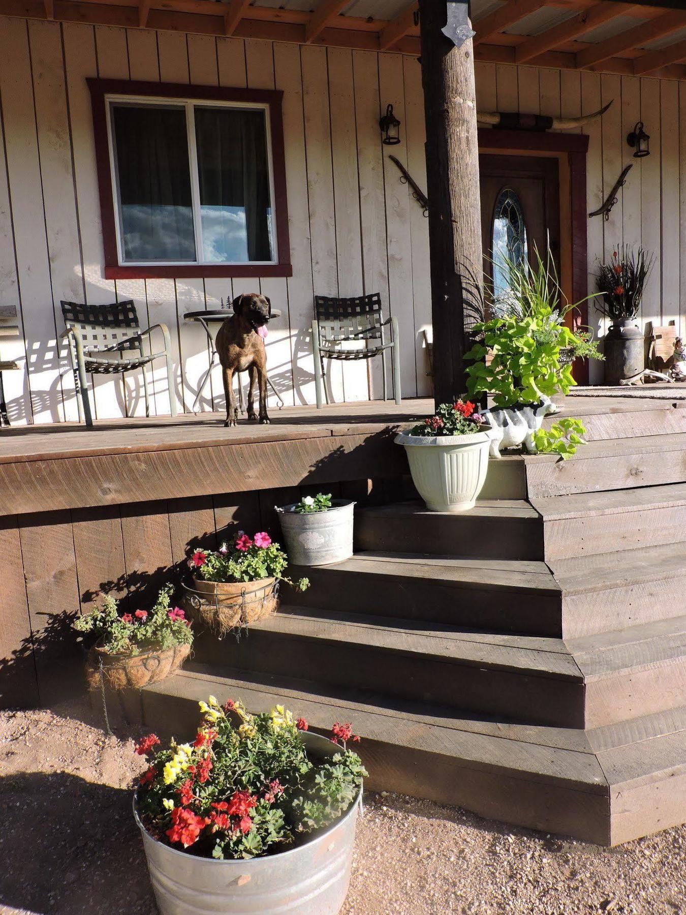 Grand Canyon Ranch & Outfitters Fredonia Exterior foto